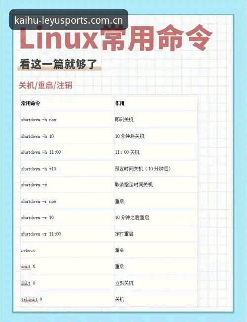揭秘乐鱼体育注册流程背后的真相：从入门到精通的完整指南