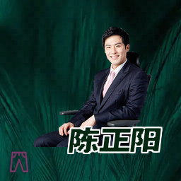 陈正阳